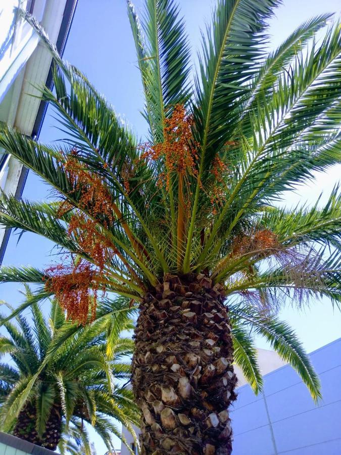 Fasthotel Perpignan Exteriér fotografie